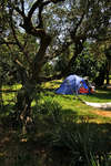Amarin Camp 